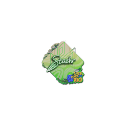 free cs2 skins Sticker | Staehr | Rio 2022