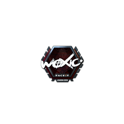 free cs2 skins Sticker | woxic (Foil) | London 2018