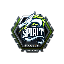 Team Spirit (Foil)