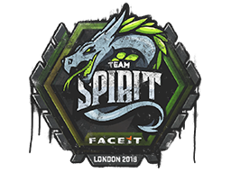 封装的涂鸦 | Team Spirit | 2018年伦敦锦标赛