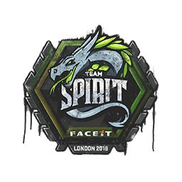 team spirit logo