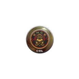 free cs2 skins Sticker | ENCE | Katowice 2019