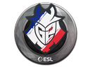 Sticker | G2 Esports | Katowice 2019