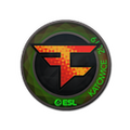 Sticker | FaZe Clan (Holo) | Katowice 2019