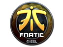 Sticker | Fnatic (Foil) | Katowice 2019