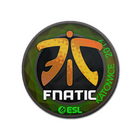 Sticker | Fnatic (Holo) | Katowice 2019
