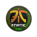 Sticker | Fnatic (Holo) | Katowice 2019