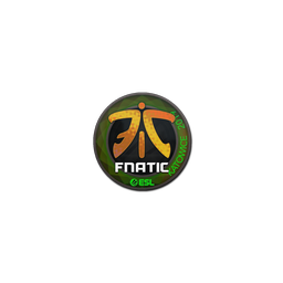 free cs2 skins Sticker | Fnatic (Holo) | Katowice 2019