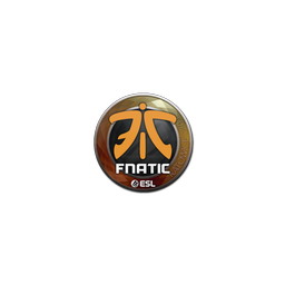 free cs2 skins Sticker | Fnatic | Katowice 2019