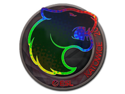 Sticker | FURIA | Katowice 2019