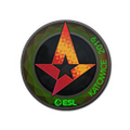 Sticker | Astralis (Holo) | Katowice 2019