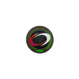 free cs2 skins Sticker | compLexity Gaming (Holo) | Katowice 2019