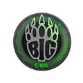 Sticker | BIG (Holo) | Katowice 2019