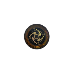 free cs2 skins Sticker | Ninjas in Pyjamas (Holo) | Katowice 2019