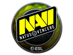 Natus Vincere (Foil) | Katowice 2019