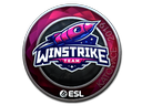 Sticker | Winstrike Team | Katowice 2019