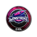 Sticker | Winstrike Team (Foil) | Katowice 2019