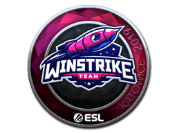 Pegatina | Winstrike Team (reflectante) | Katowice 2019