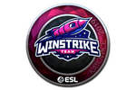 Sticker | Winstrike Team (Foil) | Katowice 2019