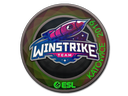 Sticker | Winstrike Team (Holo) | Katowice 2019