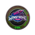 Sticker | Winstrike Team (Holo) | Katowice 2019