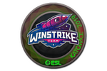 Sticker | Winstrike Team (Holo) | Katowice 2019