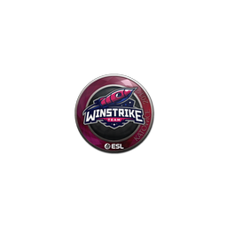 free cs2 skins Sticker | Winstrike Team | Katowice 2019