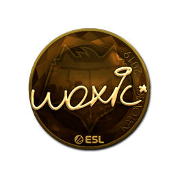 woxic (Gold) | Katowice 2019