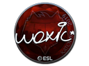 스티커 | woxic (Foil) | Katowice 2019