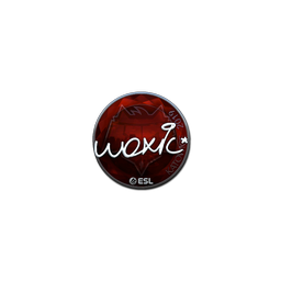 free cs2 skins Sticker | woxic (Foil) | Katowice 2019