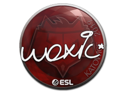 woxic | Катовице 2019