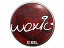 Sticker | woxic | Katowice 2019