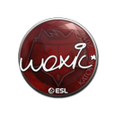 Sticker | woxic | Katowice 2019