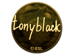 tonyblack (золотая) | Катовице 2019