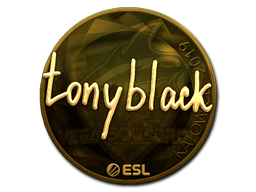 tonyblack (Gold) | Katowice 2019