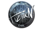 Sticker | tiziaN (Foil) | Katowice 2019