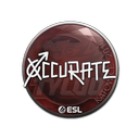 Sticker | xccurate | Katowice 2019