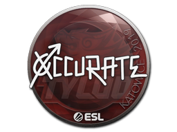 Sticker | xccurate | Katowice 2019