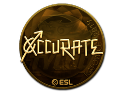 xccurate (Gold) | Katowice 2019