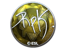 Sticker | RpK (Foil) | Katowice 2019