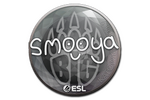 Sticker | smooya | Katowice 2019