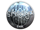 Sticker | smooya (Foil) | Katowice 2019