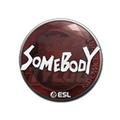 Sticker | somebody | Katowice 2019