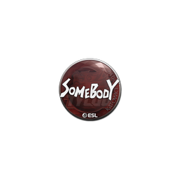 Sticker | somebody | Katowice 2019