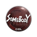 Sticker | somebody | Katowice 2019