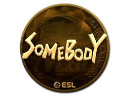 somebody (Gold) | Katowice 2019