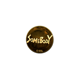 Sticker | somebody (Gold) | Katowice 2019