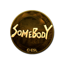 somebody (Gold) | Katowice 2019