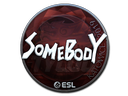 Sticker | somebody | Katowice 2019