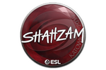 Sticker | ShahZaM | Katowice 2019